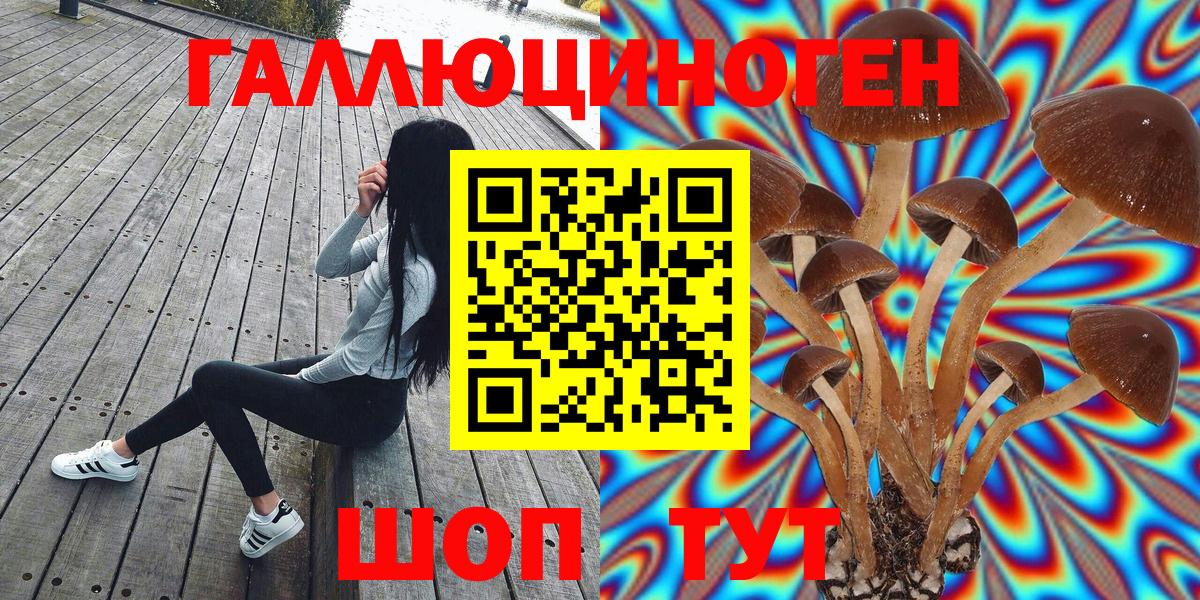 Белогорск  Галлюциногенные грибы мухоморы  Вход с VPN 