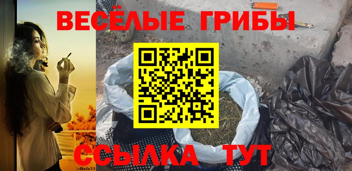 Псилоцибиновые грибы GOLDEN TEACHER Белогорск